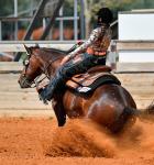 A reining contest